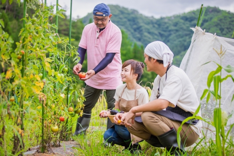 特定技能評価試験