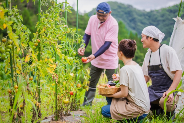 農業の人手不足を解決するための取り組み