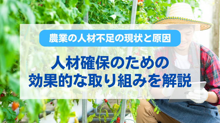 農業の人材不足の現状と原因、人材確保のための効果的な取り組みを解説