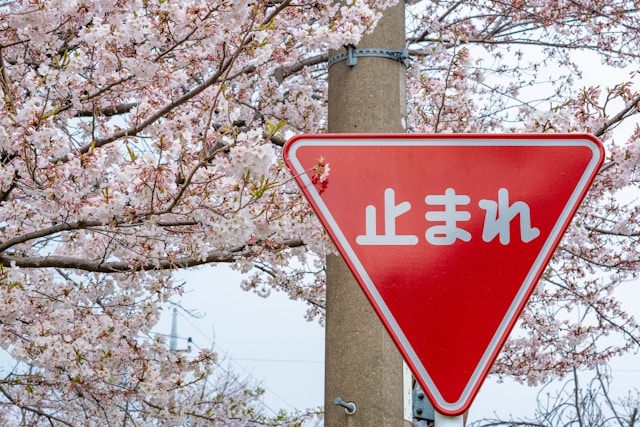 まとめ｜ひらがなの印象や教え方を紹介