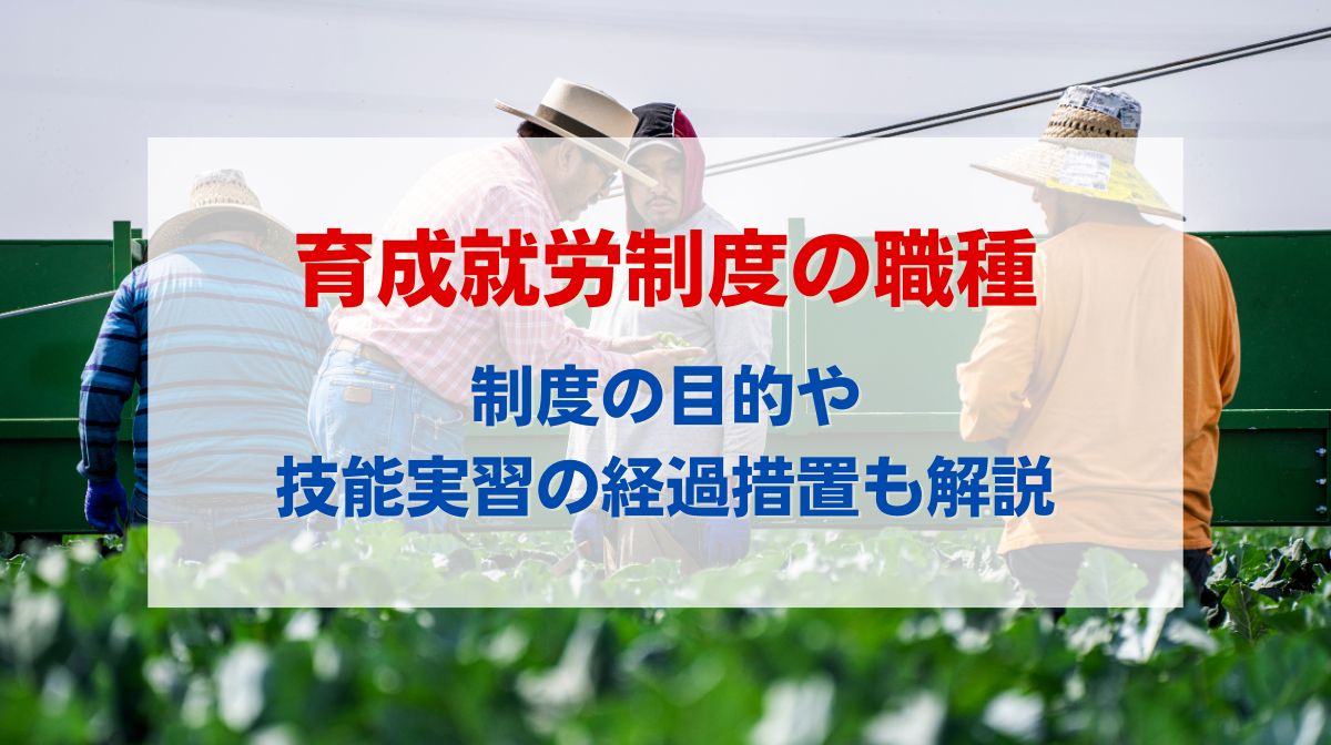 育成就労　職種