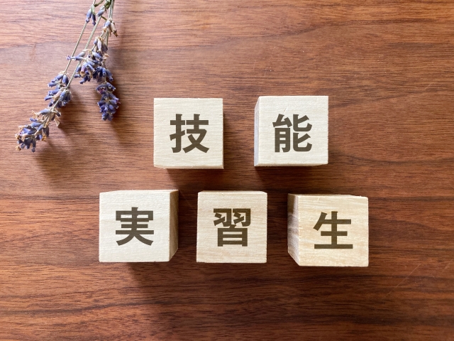 技能実習生の文字が書かれた積み木