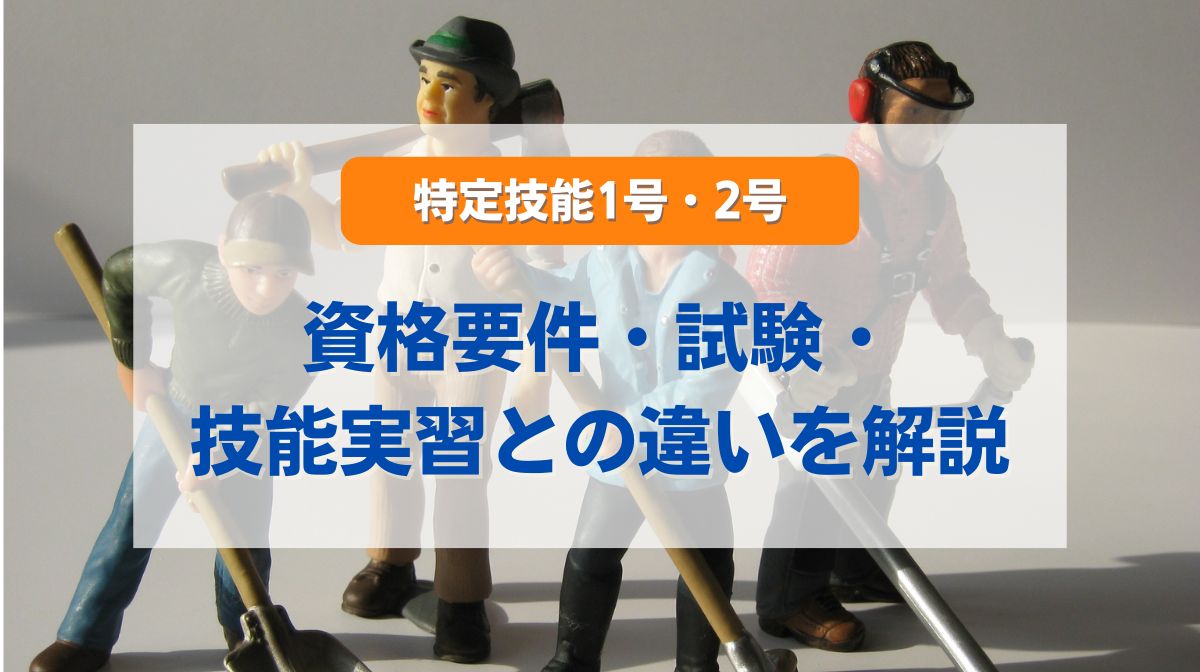 特定技能 資格