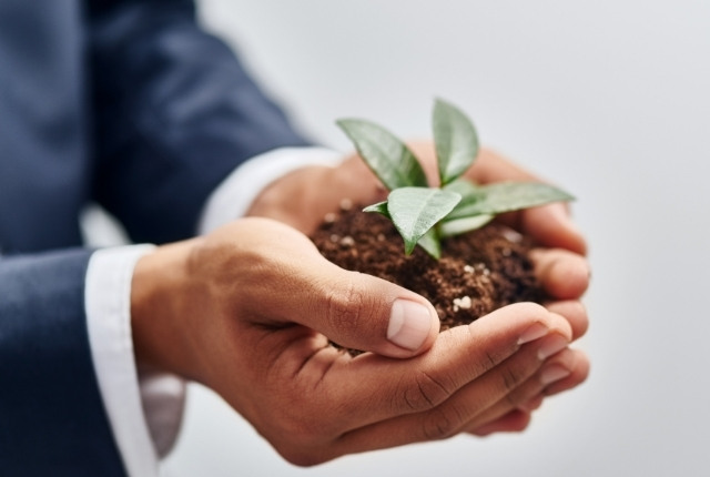 外国人介護士の採用と定着を象徴する、芽吹く植物を大切に包む手のイメージ