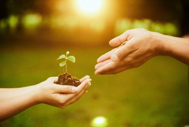 芽吹いた植物を手から手へ渡す様子で、人材育成や成長支援、未来への投資を表すイメージ